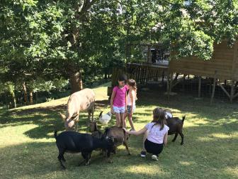 Baptiste, Camping en France